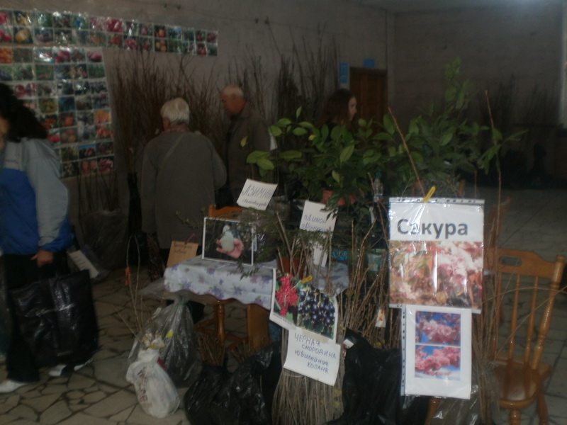 В Алуште проходит ярмарка для садоводов