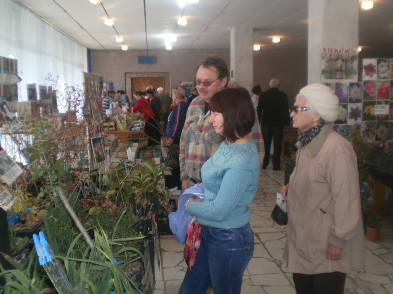 В Алуште проходит ярмарка для садоводов