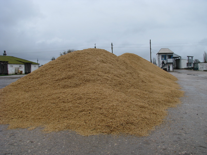 Инвесторов призвали обратить внимание на Северный Крым