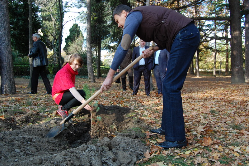 В Алуште высадили новые деревья