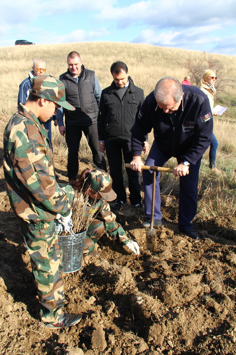 Крымский премьер посадил клены в Симферопольском районе