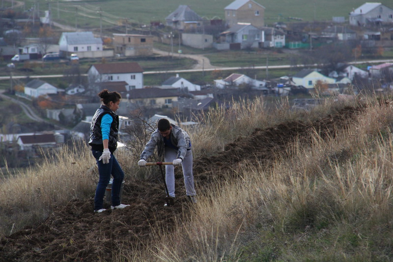 Крымский премьер посадил клены в Симферопольском районе