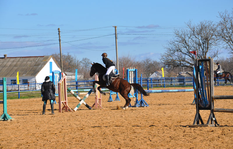 В Крыму устроят конные скачки на кубок премьера АРК