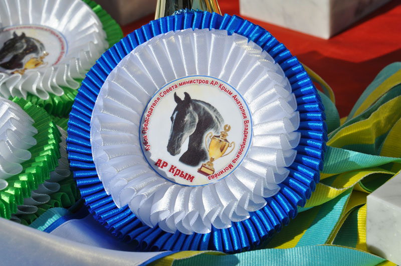 В Крыму устроят конные скачки на кубок премьера АРК