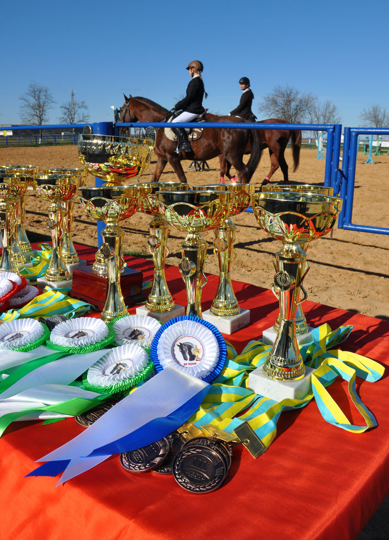 В Крыму устроят конные скачки на кубок премьера АРК