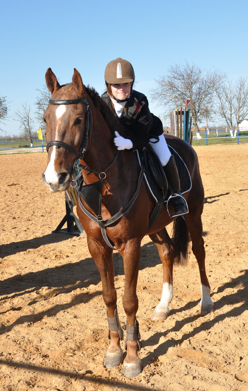 В Крыму устроят конные скачки на кубок премьера АРК