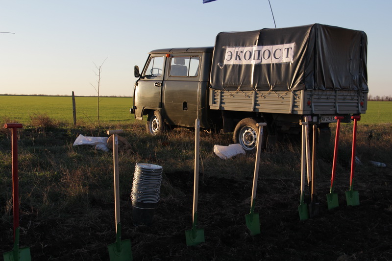 Вдоль трассы в Симферопольском районе высадили деревья