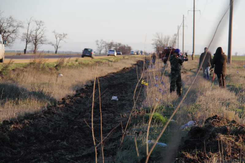 Вдоль трассы в Симферопольском районе высадили деревья