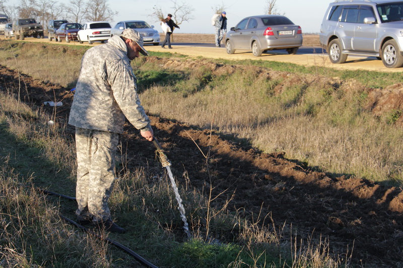 Вдоль трассы в Симферопольском районе высадили деревья