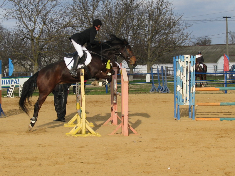 Кубок премьера Крыма по конному спорту заполучила 16-летняя девушка