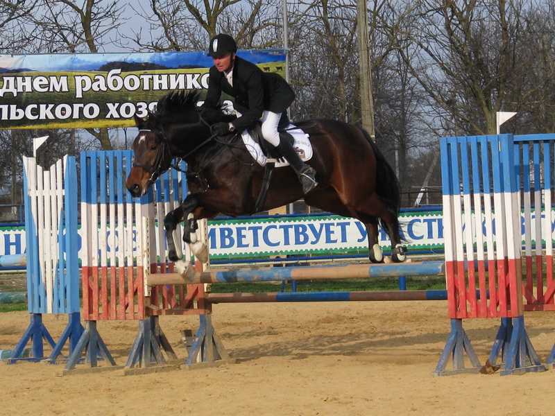 Кубок премьера Крыма по конному спорту заполучила 16-летняя девушка