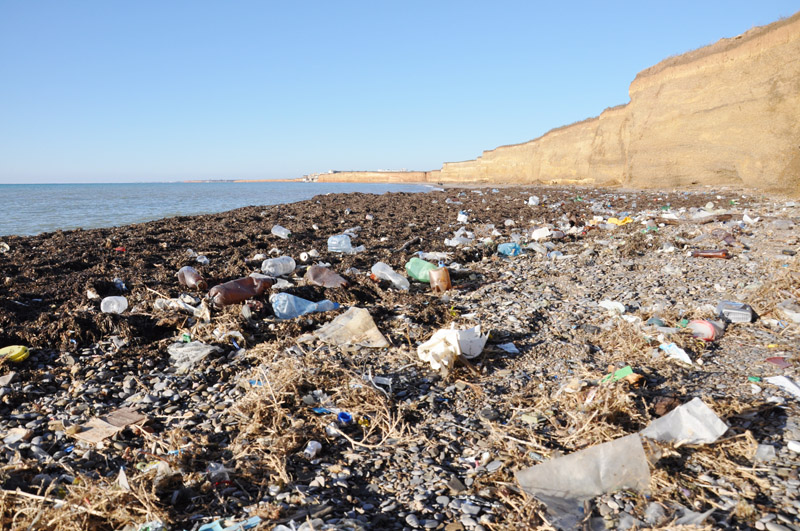 ВИКТОР ТАРАСЕНКО: Грязный Крым никому не нужен