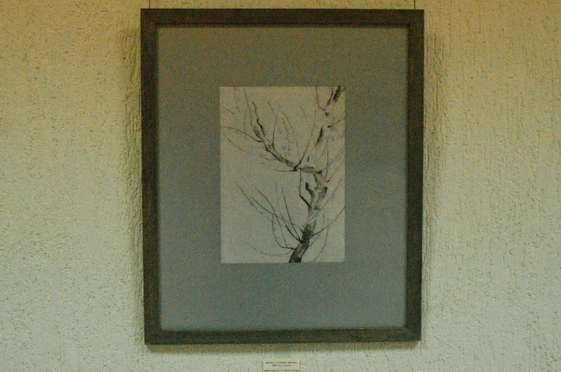 В Севастополе открылась выставка крымской художницы