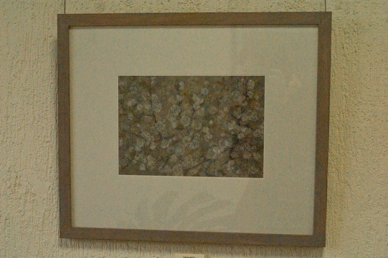 В Севастополе открылась выставка крымской художницы