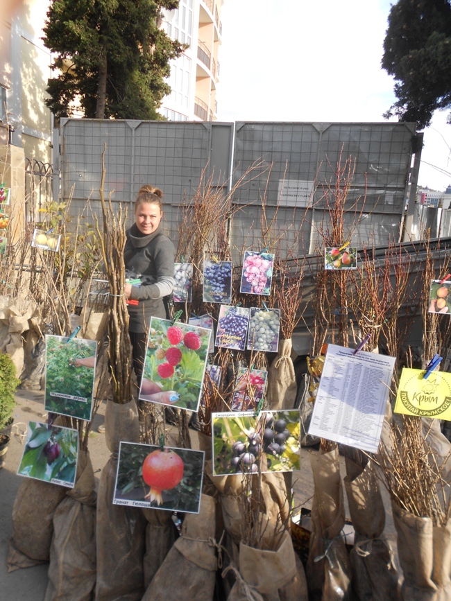 В Алуште прошла очередная ярмарка