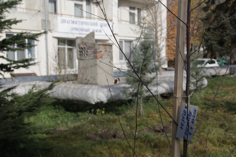 В перинатальном центре высадили детскую аллею 