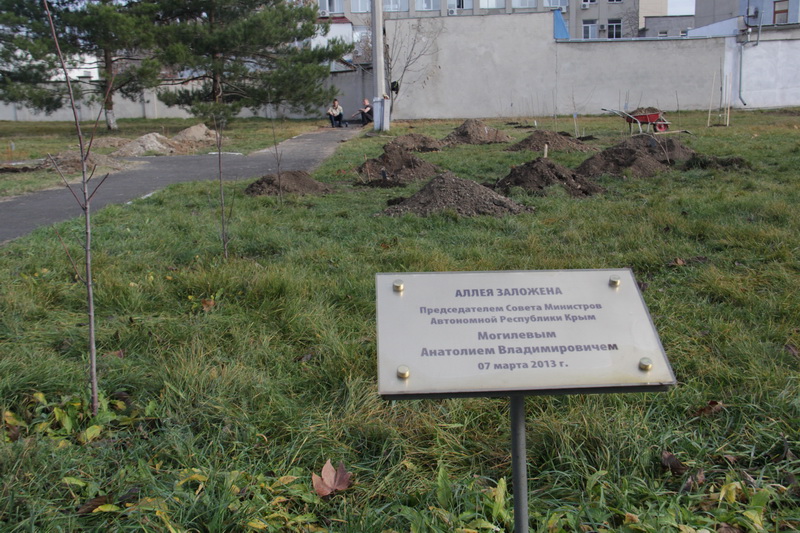 В перинатальном центре высадили детскую аллею 