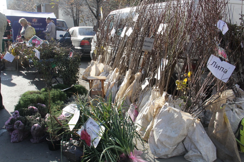 В Симферополе в пятый раз прошла осенняя ярмарка