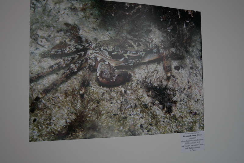 В Симферополе состоялся гала-концерт фестиваля «Крым – в моем сердце»