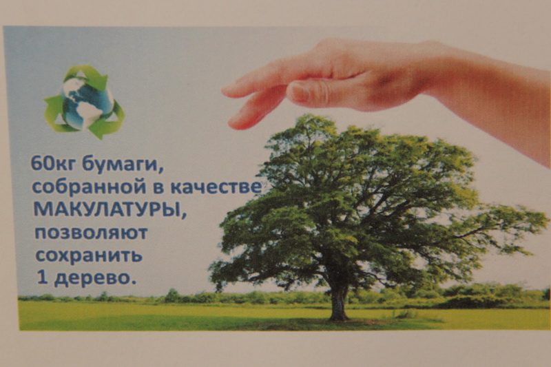 В Симферополе 25 учебных заведений присоединились к акции по сбору макулатуры
