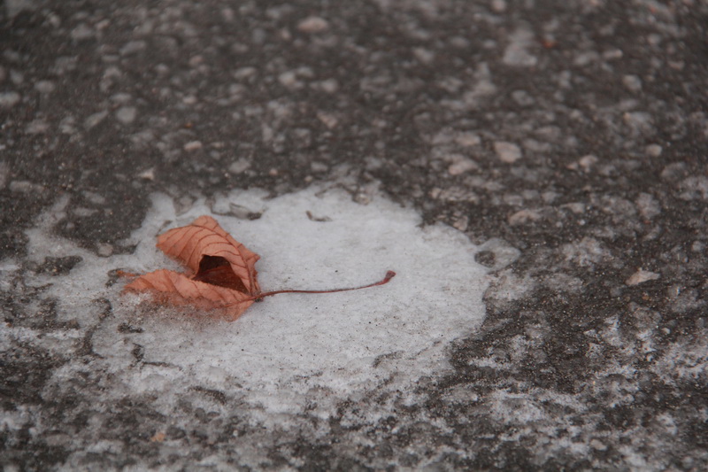 В Симферополе выпал первый снег