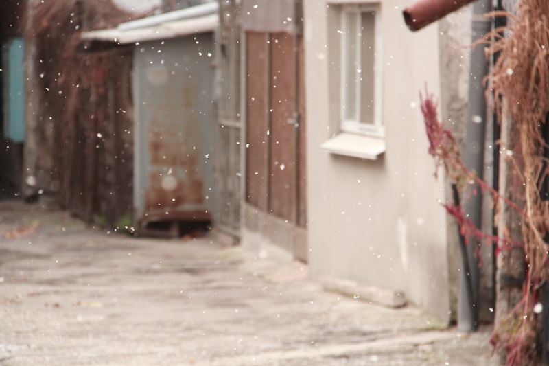 В Симферополе выпал первый снег