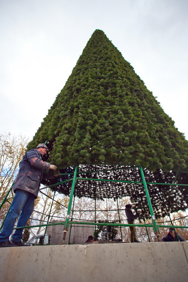 В Севастополе устанавливают 15-метровую елку