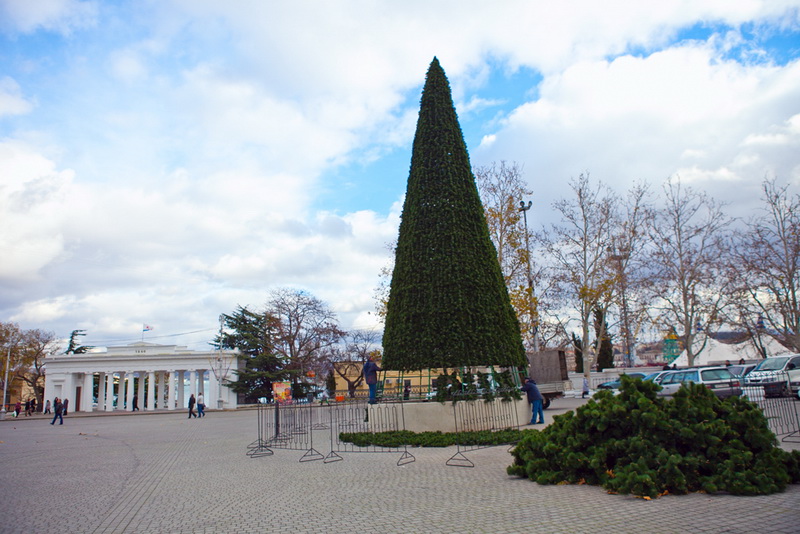 В Севастополе устанавливают 15-метровую елку