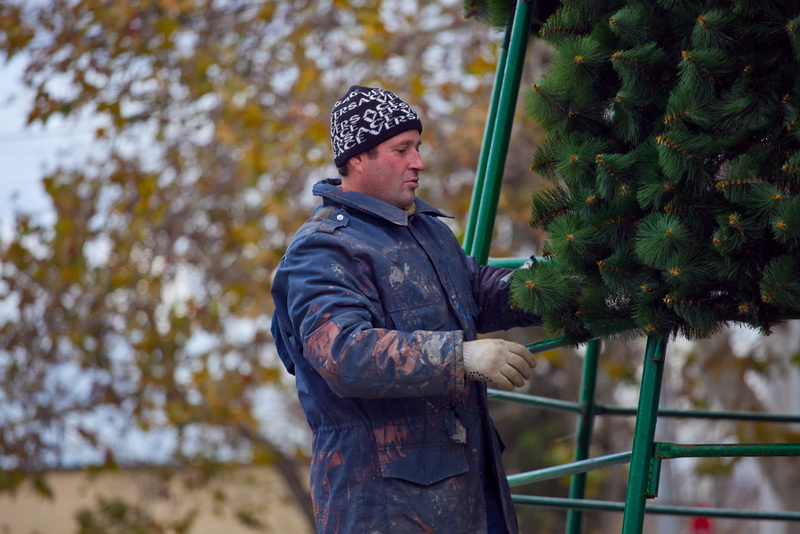 В Севастополе устанавливают 15-метровую елку