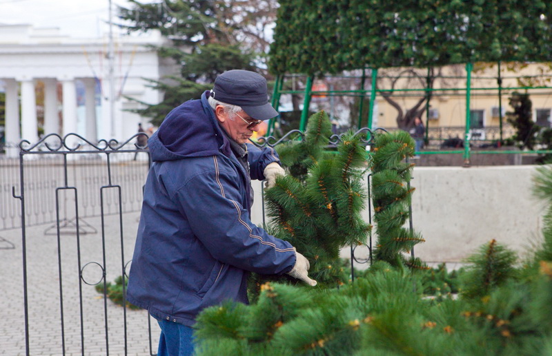 В Севастополе устанавливают 15-метровую елку