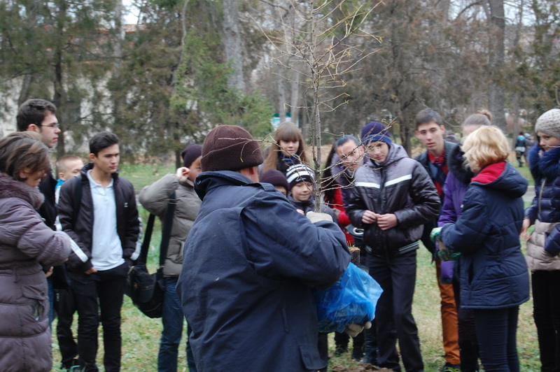 В ботаническом саду в Симферополе посадили деревья