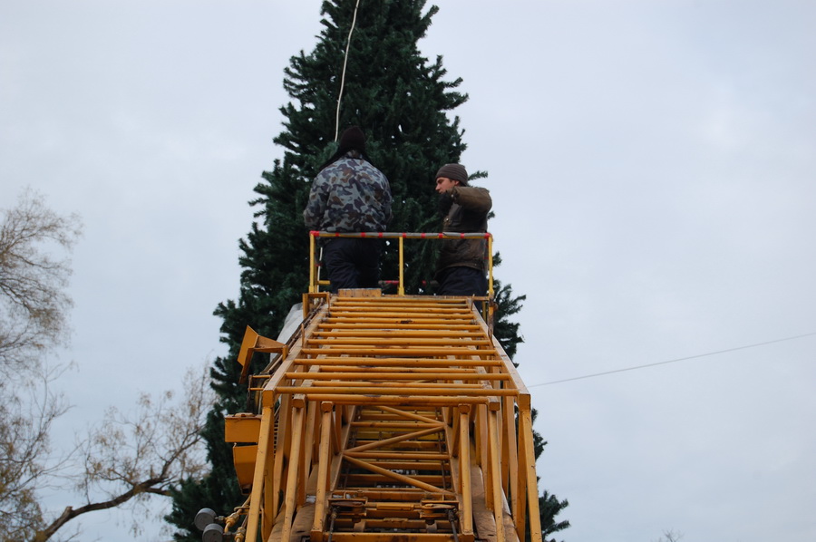 В Симферополе устанавливают еще одну елку