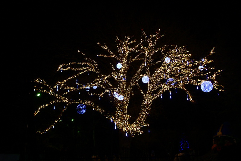 Детский парк Симферополя засиял по-новому