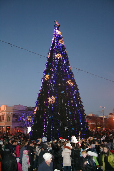В Симферополе зажглась главная городская елка