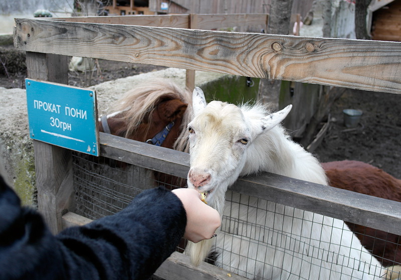 В Ялте прошла предновогодняя ярмарка рукоделия