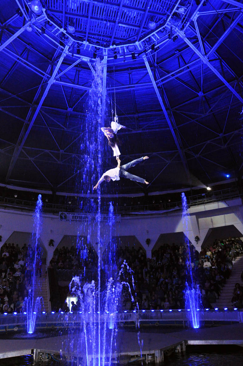 В симферопольском цирке открыли главную елку Крыма