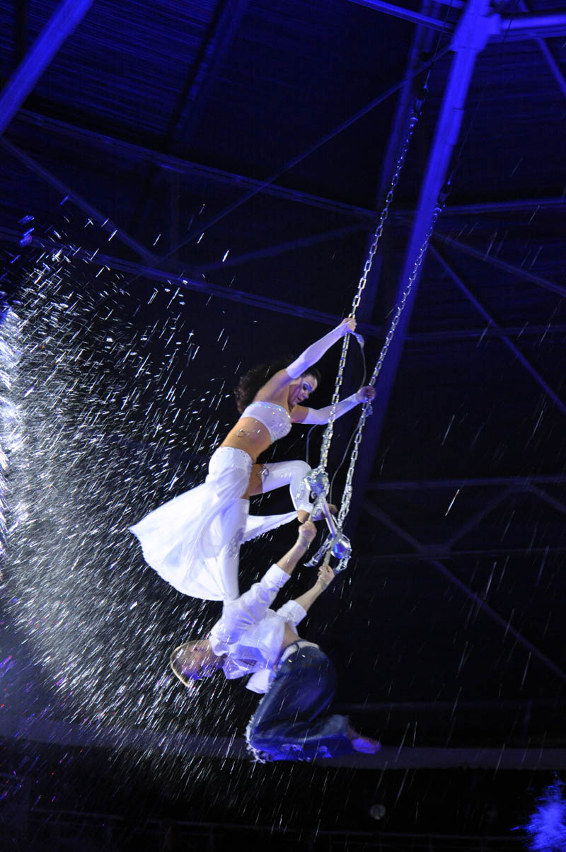 В симферопольском цирке открыли главную елку Крыма