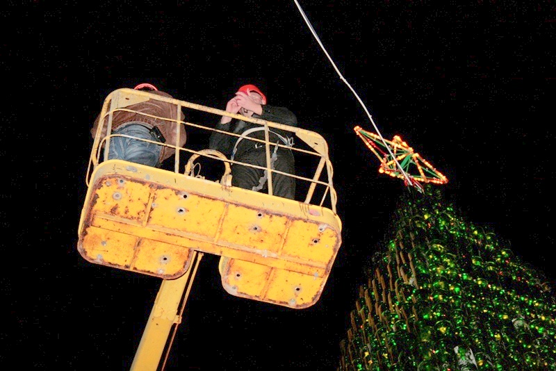 В Новом Свете установили самую большую в Украине елку из винных бутылок