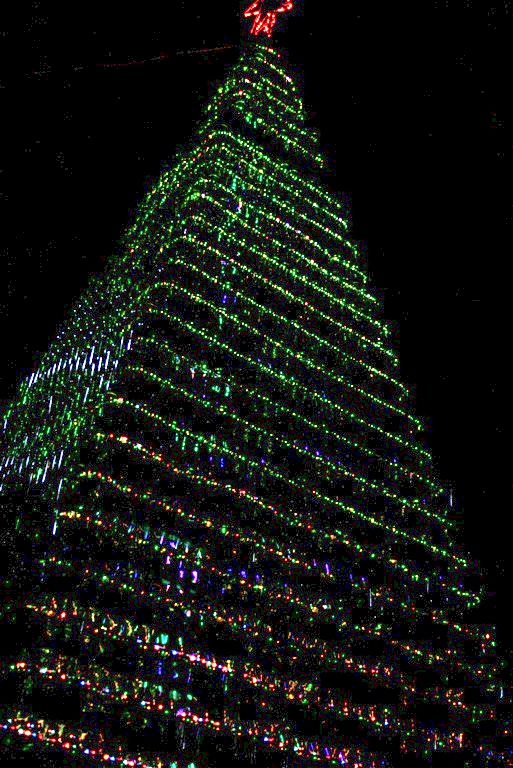 В Новом Свете установили самую большую в Украине елку из винных бутылок