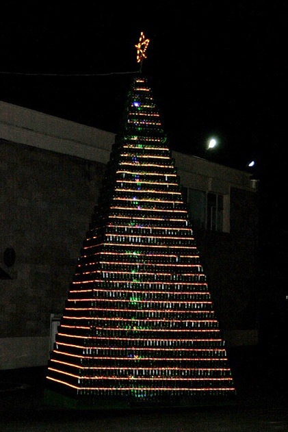 В Новом Свете установили самую большую в Украине елку из винных бутылок