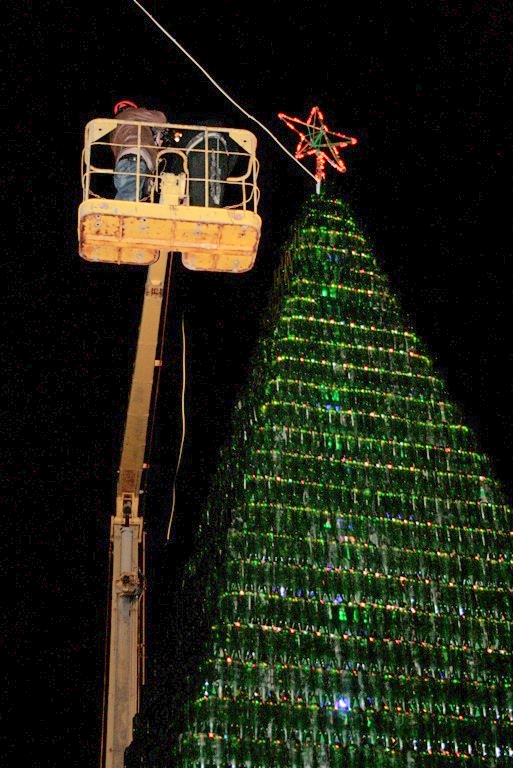 В Новом Свете установили самую большую в Украине елку из винных бутылок