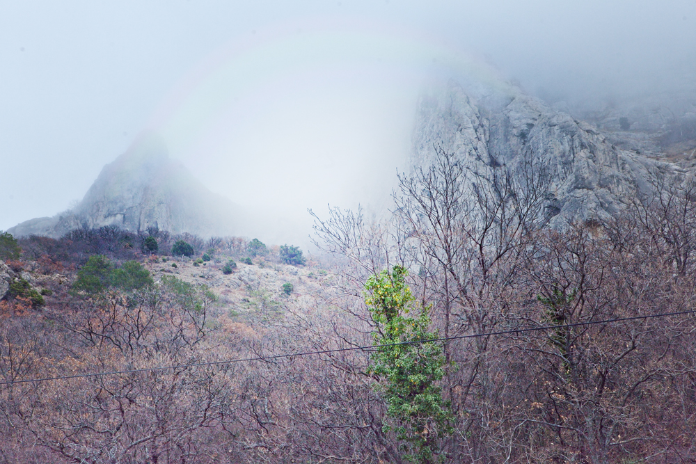 В Крыму стартовали соревнования по спортивному ориентированию