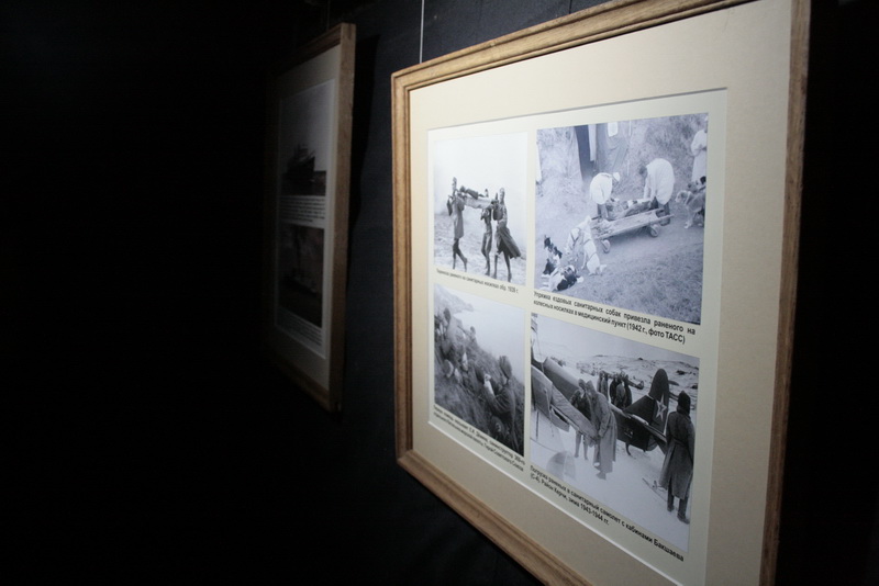 В Симферополе открыли выставку, посвященную фронтовым медикам