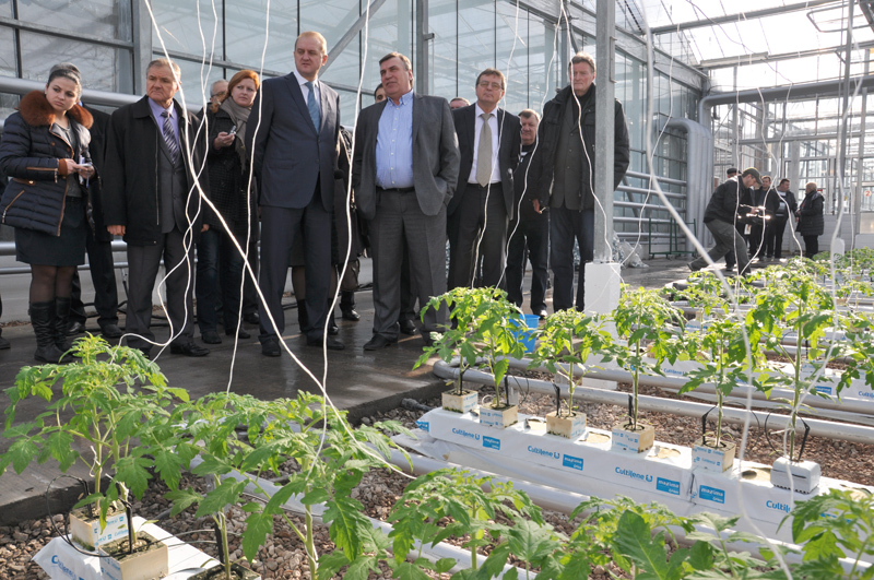 В Крыму открыли новый тепличный комплекс