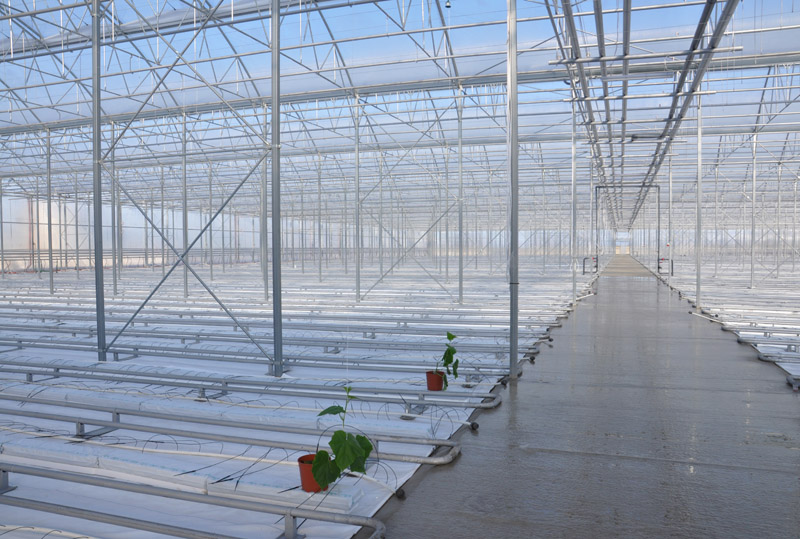 В Крыму открыли новый тепличный комплекс