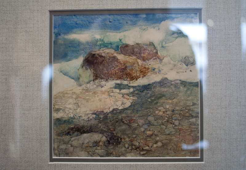 В Севастополе открылась выставка «Птицы»