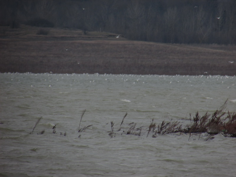 Водохранилища Симферополя начали пополняться