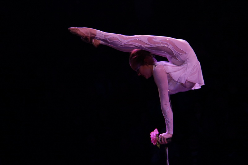 Киевский цирк привез в Симферополь динозавров и льва Папы Римского