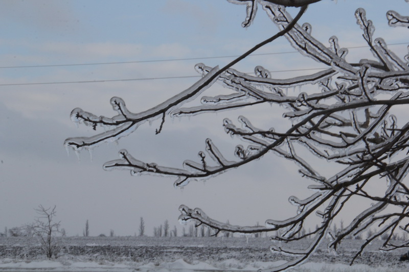 Крымский премьер осмотрел ход восстановительных работ в Сакском районе