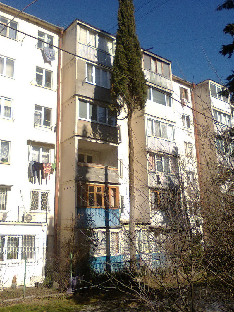 В Алуште отмечены факты незаконной вырубки деревьев